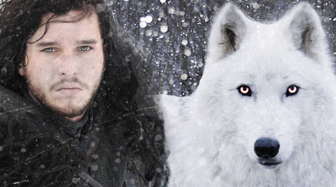 Game of Thrones 7: ricostruzione  della scena tagliata tra Ghost, Jon e Sansa