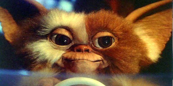 Gremlins 3: Sarà sicuramente un reboot