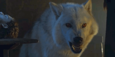 Game of Thrones 8: Ghost sarà molto presente