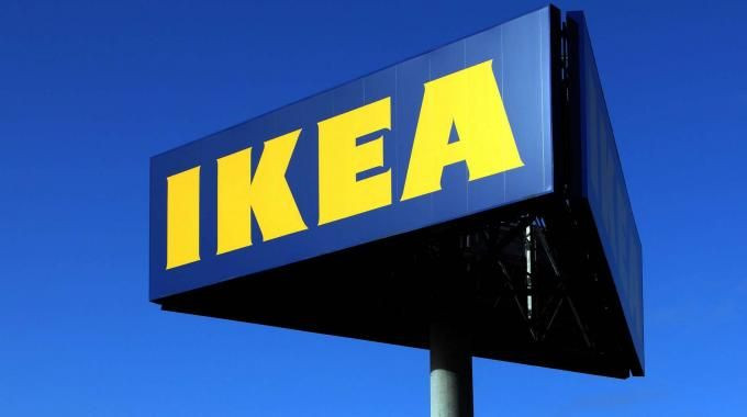 IKEA a Catania apre le porte ai cani randagi per aiutarli a difendersi dal gelo dell'inverno