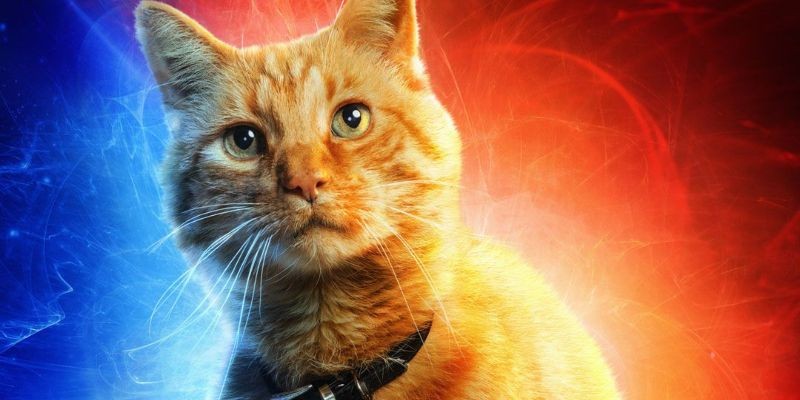 Captain Marvel: il gatto Goose in un nuovo banner promozionale