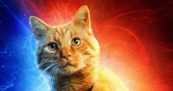 Captain Marvel: il gatto Goose co protagonista nel nuovo spot