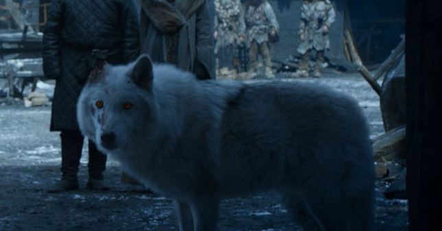 Game of Thrones 8x04: i fan reagiscono rabbiosamente alla storia di Ghost