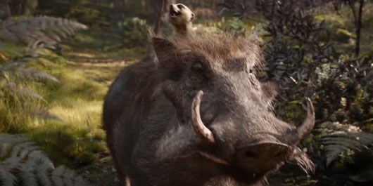 Il Re Leone: Timon e Pumba protagonisti della nuova clip