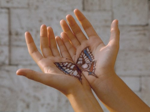 pg_316292140.jpg - butterfly